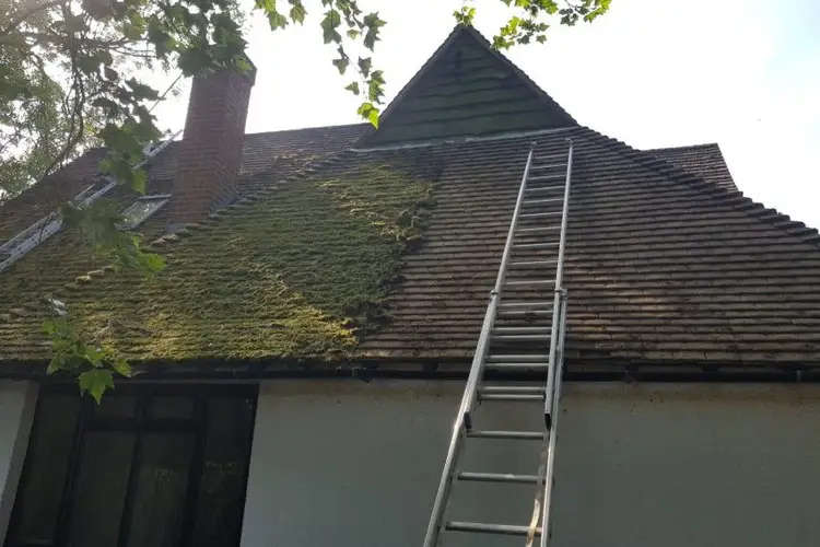 roof-cleaners-near-me