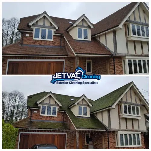 roof-cleaning