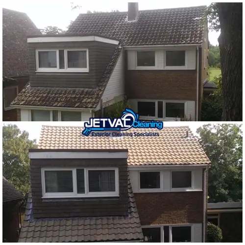 roof-moss-removal