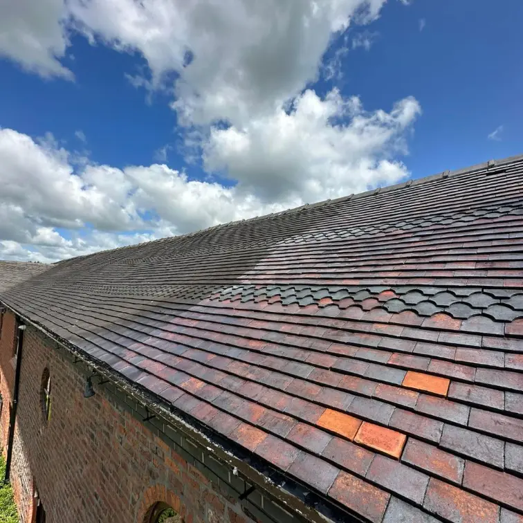 Roof cleaning
