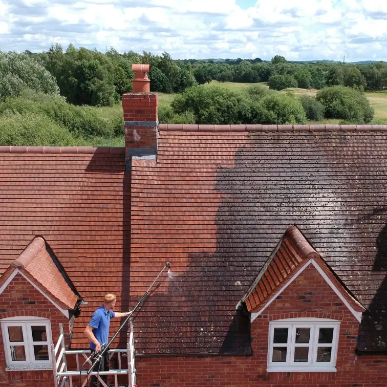 Roof cleaning